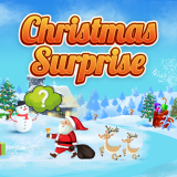 Christmas Surprise