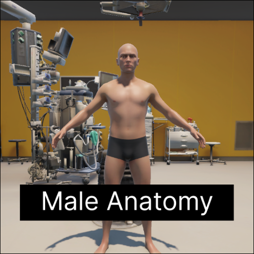 Human Anatomy